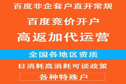 案例分析：百度推广排名提升的优化策略